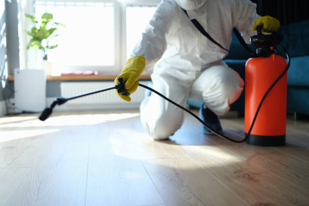 Best Pest Control Treatment  in Wyndham, VA