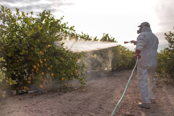 Best Best Pest Control Companies  in Wyndham, VA