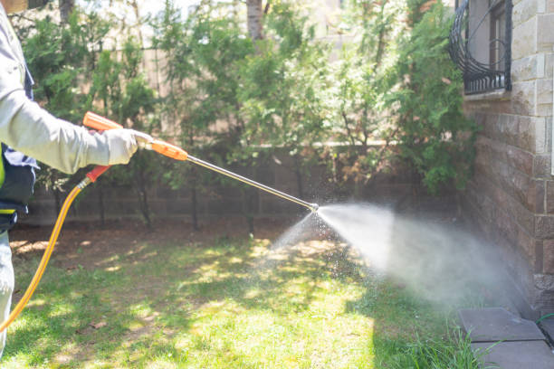 Spider Control Near Me in Wyndham, VA
