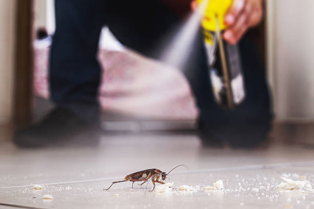 Best Residential Pest Control  in Wyndham, VA
