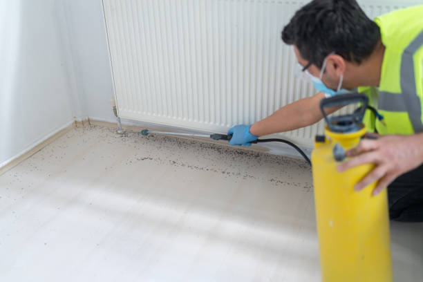 Best Cockroach Control Services  in Wyndham, VA