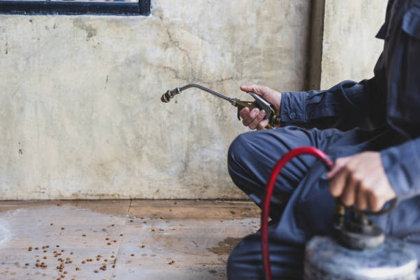 Best Pest Inspection Near Me  in Wyndham, VA