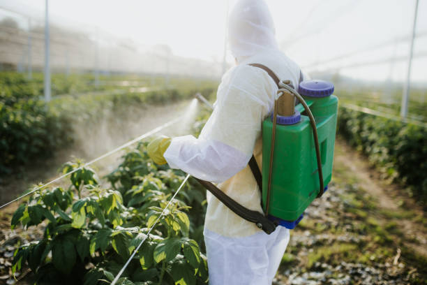Best Best Pest Control Companies  in Wyndham, VA